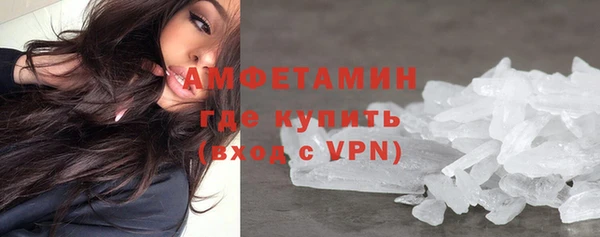 спиды Богданович