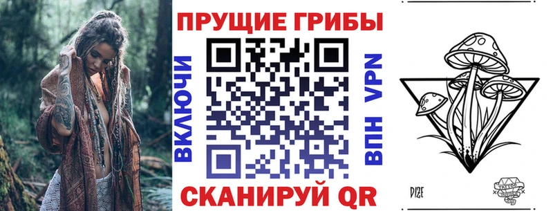 Галлюциногенные грибы Psilocybine cubensis  купить наркотик  Новокузнецк 